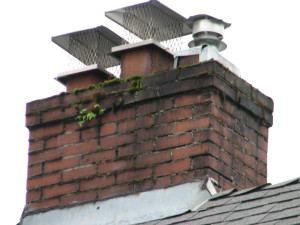 Chimney caps, chase covers and crowns - what is the difference?