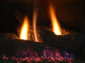 Only Burn Seasoned Firewood - Charlotte NC - Owens Chimney Systems