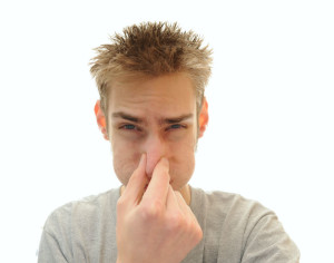 What is Causing My Chimney Odor - Charlotte NC- Owens Chimney Systems -w800-h800