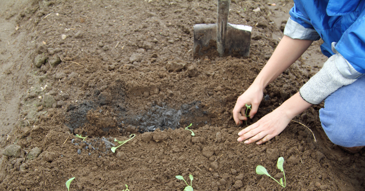 6 Great Uses for Fireplace Ash Charlotte NC Owens Chimney Systems