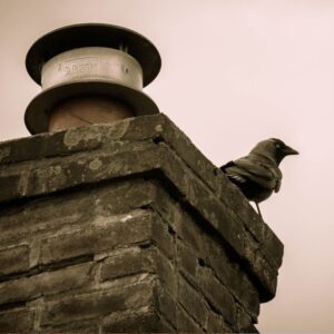 a masonry chimney with a chimney cap and a bird sitting on top