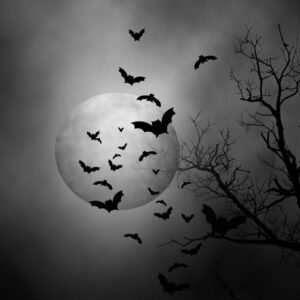 many bats flying in front of a full moon by dark tree branches